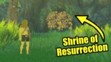 What If You Visit Shrine of Resurrection in Zelda Tears of the Kingdom?