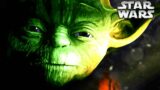 What Yoda Says About LONELINESS Will Change Your Life – Star Wars Explained