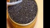 When Making Caviar Pt6 #boarders #immagrents #trump #short #shortvideos #shortfeed