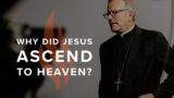 Why Did Jesus Ascend to Heaven? – Bishop Barron's Sunday Sermon