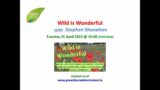 Wild is Wonderful, 25 Apr 2023