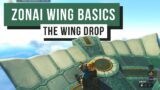 Wing Basics (Wing Drop, Wing Jump) Legend of Zelda Tears of the Kingdom