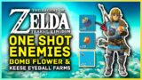 Zelda Tears Of The Kingdom Best Ways To Farm Keese Eyeballs, Arrows and Bomb Flowers