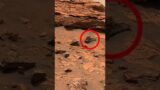 mars stock footage/#shortvideo #viral #trending #shortvideo