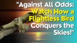 "Against All Odds: Watch How a Flightless Bird Conquers the Skies!"motivation