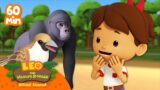 1 HOUR WITH ANIMALS OF ALL SIZES!! | Leo the Wildlife Ranger | Kids Cartoons | #compilation