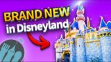 20 BRAND NEW Things Coming to Disneyland This Year