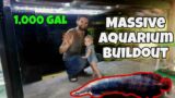 $25,000 Massive Fish Tank // Setup and DIY Build