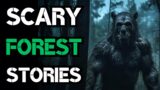 3 Scary Forest Horror Stories