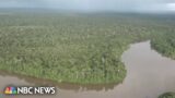 4 children found alive 40 days after plane crashed in Amazon jungle
