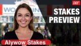 Alywow Stakes Preview 2023