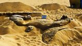 Archaeologists Dug Up a Californian Sand Dune and What They Discovered Left Them Speechless