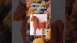 BOOK REVIEW OF TOA AND THE TERRACOTTA HORSE