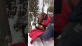 Baby Bear Cubs' Snowy Mountain Rescue | Hero of the Month