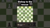 Bishop to the rescue #chess
