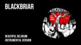 Blackbriar – Beautiful Delirium [Instrumental With Background Vocals]