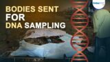 Bodies sent for DNA sampling