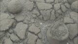 Broken pieces sandcement non stop dry floor crumbling #asmr #asmrcommunity   #sandcement
