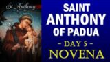 DAY 05 SAINT ANTHONY OF PADUA NOVENA – LILY OF HEAVENLY PURITY