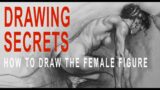 DRAWING SECRETS: How to draw the female figure