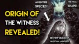 Destiny 2 – THE ORIGIN OF THE WITNESS REVEALED! What The Witness Actually Is!
