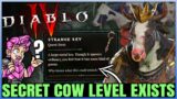 Diablo 4 – Secret Cow Level is REAL – HUGE New Discovery & Item Unlock Datamine Found!