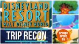 Disneyland Resort + Walt Disney World Resort | Trip Recon