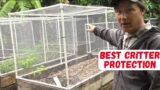 Do THIS to Critter-Proof Your Raised Bed + Best Zone 10 Summer Vegetables