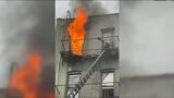 Firefighters perform dramatic rope rescue in Brooklyn fire