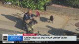 Firefighters rescue dog trapped in a Whittier storm drain
