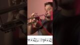 Fly me to the moon – Trumpet version #trumpet #trumpetcover #flymetothemoon