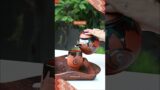 Handmade Terracotta