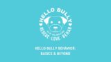 Hello Bully Behavior Basic and Beyond Week Three