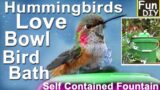 How To Make Hummingbird ENDLESS Water Fountain $1 BOWL Bird Bath EASY Solar Powered TOTALLY PORTABLE