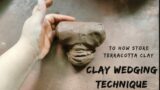 How to wedge and store Terracotta Clay #wedging #claywedging #terracottajewellery