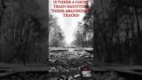 IS THERE A GHOST TRAIN HAUNTING THESE ABANDONED TRACKS?