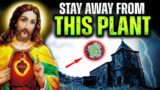 Jesus – This Plant Will Drive Human To Death. Unseen Infiltration Of Witchcraft Into Churches