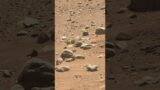 Life on Mars. credit. NASA