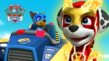 Marshall and Chase Mighty Pups Rescues and MORE | PAW Patrol | Cartoons for Kids Compilation