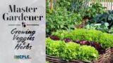 Master Gardener – Growing Veggies and Herbs