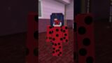 Minecraft school – Lady Bug and Cat Noir VS TroubleMaker……..#shorts