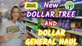New DOLLAR TREE/DOLLAR GENERAL Haul! Great items found!