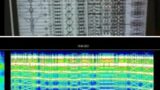 ORGANIC HADRON COLLIDER ~ PARTICLE ACCELERATOR IN THE SCHUMANN RES THAT RAISES VIBRATION EVERYWHERE