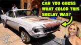 RESCUED: 1 of 200 GT500 Shelby Mustangs Stored Since 1982!!