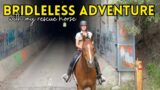 Riding Bridleless Through an Abandoned Train Tunnel: Road Trip With My Horses