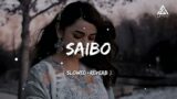 Saibo Lo-fi ( Slowed+Reverb ) Shor In The City | Shreya Ghoshal | @LofiBeats-07