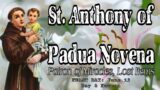 St. Anthony of Padua Novena : Day 6 | Patron of Miracles & Lost Items
