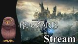 [Stream] Hogwarts Legacy [Part 3]