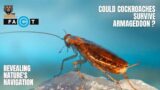 Survivors Against All Odds: Can Cockroaches Survive Armageddon?