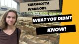 The Eighth Wonder of the World! Terracotta Warriors: What it's really like!